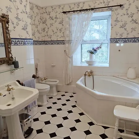 Vakantiehuis Wellpark House, Family Mansion Oughterard